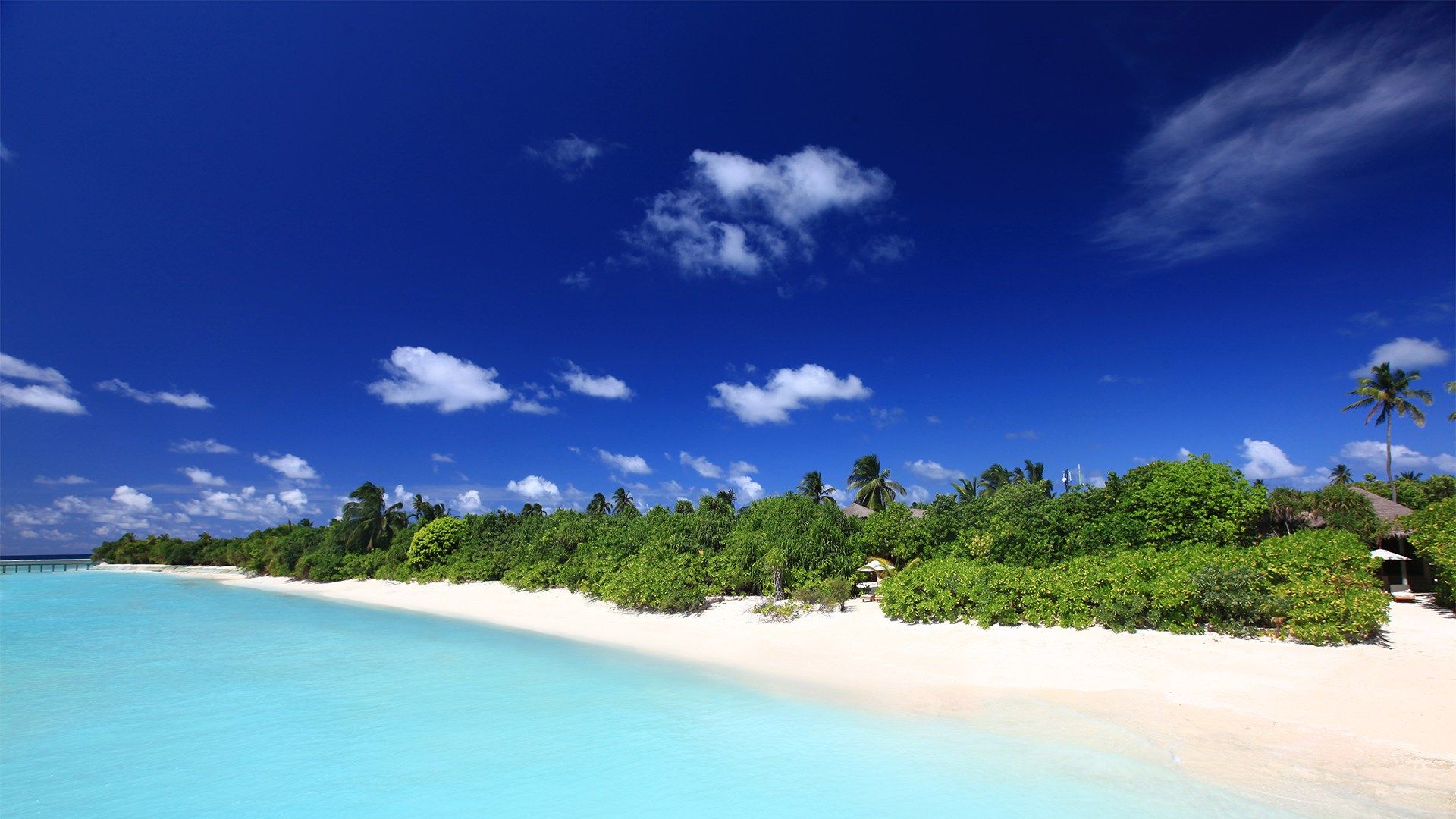 Beach Retreat Paradise